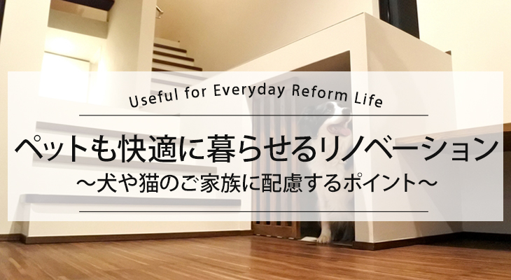 【ペットも快適に暮らせるリノベーション】～犬や猫のご家族に配慮するポイント～
